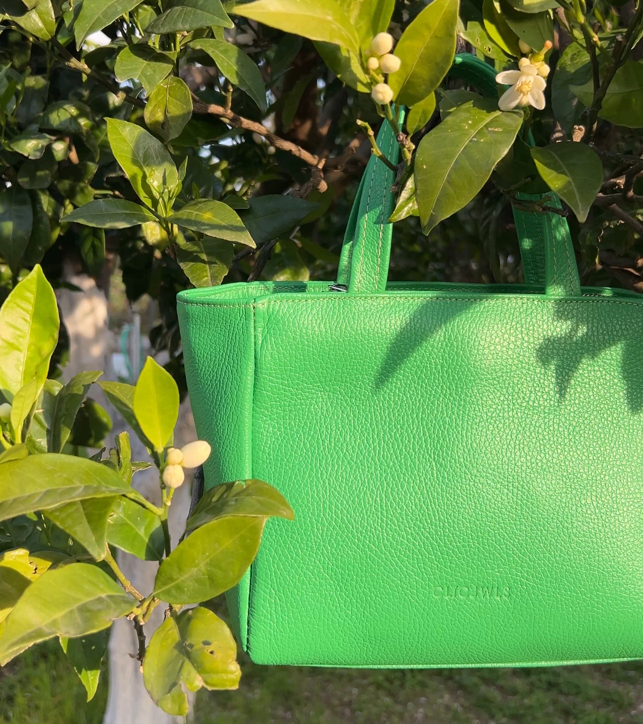 GRACE MINITOTE (mint dolaro genuine leather)